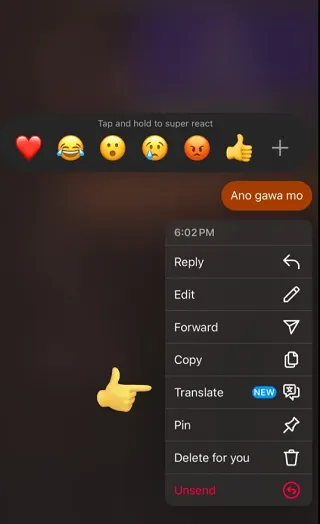 Read more about the article Instagram Adds In-Stream Translations for DMs