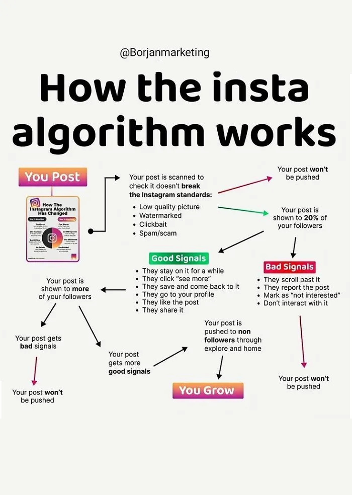 Read more about the article How the Instagram Algorithm Works [Infographic]